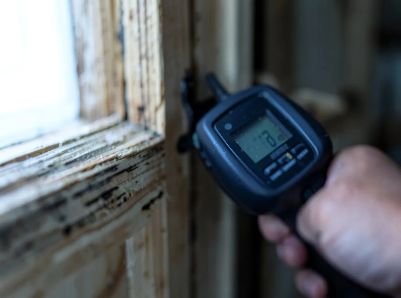 Moisture Inspection And Documentation in Malden On Hudson, NY